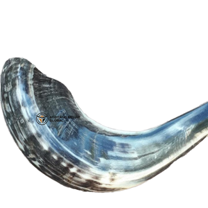 Vente en gros de cornes de shofar de bélier naturelles cornes d'animaux fabriquées à la main pour la décoration intérieure et les détaillants de cadeaux - Product Image 1
