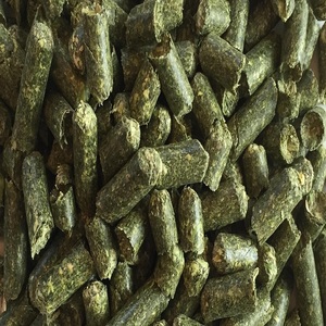 Granulés d'alfalfa frais pour l'alimentation animale, offrant un stockage pratique, une manipulation facile et une nutrition végétale précieuse pour l'alimentation. - Product Image 5