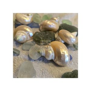 Anneaux de serviette en nacre au design original, d'une beauté exceptionnelle, inspirés de la brise marine naturelle, avec coquillages, pour cadeau - Product Image 3