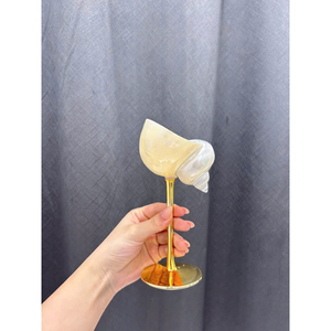 Adorno de Cristal con Diseño de Conchas Marinas, Decoración Costera para el Hogar, Adorno para Mesa de Boda con Temática de Playa, Artesanía y Suministros para Regalos - Product Image 2