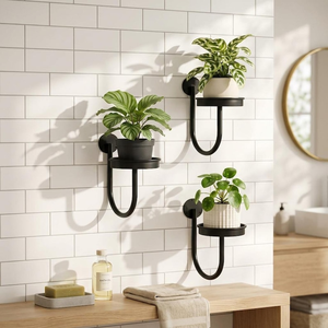 Support mural moderne en métal noir pour plantes avec porte-pot rond et cadre en U incurvé, décoration murale minimaliste - Product Image 4