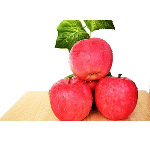 Pommes Royal Gala fraîches et sucrées, pommes Fuji et Red Star fraîches, ainsi que d'autres fruits frais, en gros, à prix de gros pour l'exportation. - Product Image 4