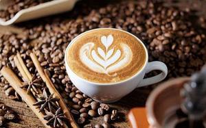 เมล็ดกาแฟโรบัสต้าเวียดนามคั่วเต็มเมล็ดหรือบดละเอียด รสชาติเข้มข้น พรีเมียม สำหรับกาแฟเอสเพรสโซ ขายส่ง - Product Image 3
