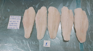 Filete de Pangasius Blanco Sin Aditivos, Etiqueta Privada/OEM, Grado de Exportación, Glaseado Personalizable 0-20%, Congelado IQF, en Trozos, Sin Agua - Product Image 3