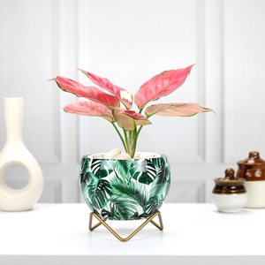 Petits pots de fleurs décoratifs pour table, senteur tropicale, pour plantes succulentes, cactus, petites plantes vertes, décoration intérieure - Product Image 6