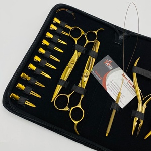 Professional Gold Stainless Steel Hair Extension Tool Kit Micro <b>Ring</b> Applicator & Removal Plier Hair Cutting & <b>Thinning</b> Scissors - Product Image 4