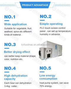 Baixin Advanced Technology Séchoir à fruits et légumes Machine de séchage industrielle pour oignons, manioc, épices, ail et champignons - Product Image 5