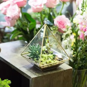 Terrarium en verre moderne de luxe artistique, pot de fleurs en métal, vase de table, support décoratif pour plantes d'intérieur, décoration élégante pour la maison, Diwali - Product Image 5