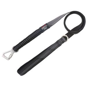 Laisse et collier réfléchissants 2-en-1 Geo Prene pour chien, avec rembourrage en néoprène absorbant les chocs pour un confort optimal - Product Image 3
