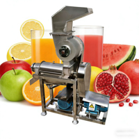 Presse-agrumes commercial haute performance 500 kg/heure pour pommes, oranges et ananas avec broyeur HJ-CM1000
