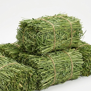 Heno de Alfalfa con Alto Contenido de Proteínas, Alimento para Ganado, Caballos, Vacas Lecheras, Nutrición Animal, Suministro al por Mayor, Exportación - Product Image 1