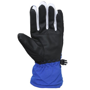 Gants de ski et de snowboard personnalisables pour hommes, femmes et enfants, gants isolés respirants et imperméables pour l'hiver - Product Image 3