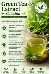 Hgo สารสกัดจากชาเขียวธรรมชาติบริสุทธิ์ (เกรดอาหาร) ข้อมูลจำเพาะ80% catechin (สารสกัดมาตรฐาน) - Product Image 2