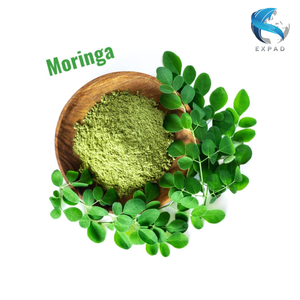 Mejor Precio Hoja de Moringa Seca Vietnamita y Polvo de Hoja de Moringa al por Mayor, Materia Prima Natural, Suministro a Granel en Bolsa con Cierre Zip - Product Image 6