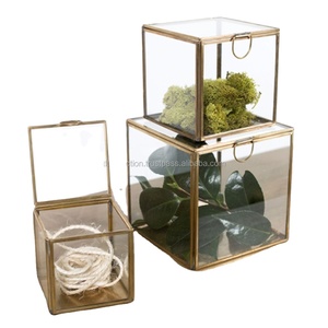 Custom-made Home Geometric Glass Terrarium with Black Metal <b>Frame</b> for Succulent <b>Plant</b> square Boxes Storage - Product Image 2