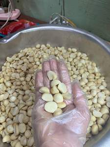 Noix de cajou de qualité supérieure du Vietnam W320 W240 W180 |   Noyaux de noix de cajou crus et grillés |   Exportation en gros d'usine - Mme Tarina - Product Image 2