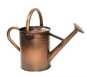 Arrosoir en métal galvanisé à long bec pour jardin, pot à eau pour usage intérieur et extérieur - Product Image 6