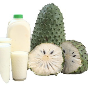 Mejor Precio Fruta de Guanábana Congelada/ Guanábana Estándar Ms Sophie - Product Image 1