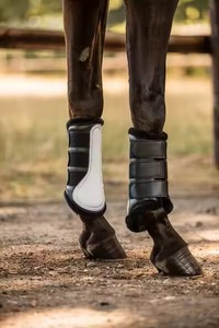 Horse Neoprene <b>Brushing</b> <b>Boots</b> Leg Protection Splint <b>Boots</b> with Fur Horse Wear Equestrian Riding Equine Veterinary Equipment - Product Image 6
