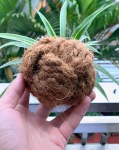 Very Good Price Coco Chewing <b>Ball</b> Coconut Fiber <b>Balls</b> Made in Vietnam - Product Image 3