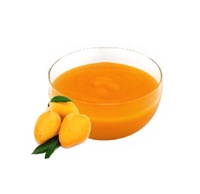Totapuri Mango Concentraat In Bulk Voor Sap Siropen Ijs En Sauzen Natuurlijke Smaak En Kleur Lang Houdbaar