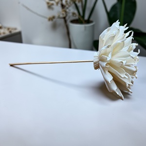 Fleurs artisanales durables en bois de Sola blanc (Spider Mum), taille : 8,5 cm, tige en fibre de plantes de Sésbania de Thaïlande - Product Image 5