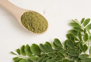 Wholesale Organic Dried Moringa Powder 100% Pure Natural Vietnam Origin supplier exporter private label oem customized packaging - Product Image 3