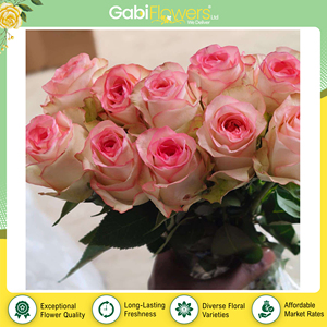 ของตกแต่งงานเทศกาลและช่อดอกไม้ ทำจากดอกไม้สดขายดี ดอกกุหลาบสีชมพูอ่อนจากผู้จัดจำหน่ายในเคนยา - Product Image 4