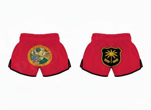 Vêtements d'arts martiaux, shorts de compétition de Muay Thai, dernières conceptions brodées personnalisées, shorts de kickboxing - Product Image 4