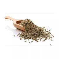 Grande Vente : Graines de Cumin Séchées AD de Haute Qualité à Bas Prix, Granulés 100kg – Fournisseur Premium, Vente en Gros, Fabrication, Exportation Allemagne 2