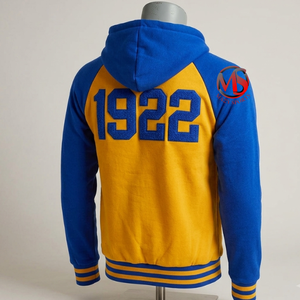 เสื้อฮู้ดดีไซน์ใหม่ ตัวอักษรเชนิลล์ Sigma Gamma Rho สำหรับชมรมนักศึกษา และแพทช์ปี 1922 แขนเสื้อแบบแร็กแลน กระเป๋าแบบเย็บติด ชายเสื้อแบบมีแถบ - Product Image 2