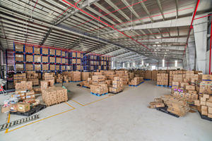 Líquido Limpiador de Pisos Calidad de Exportación |   Cumple con los Estándares Internacionales |   Fabricante Mayorista a Granel - Product Image 5