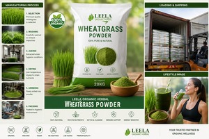 Wheatgrass Powder – Nutrient Rich Green Superfood for Health Supplements, Smoothies, Cosmetics & Nutraceutical Applications - Product Image 2