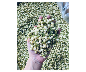 Proveedor de Vietnam de Capullos de Jazmín Secos Naturales - Ingrediente Floral para Producción de Bebidas en Grandes Cantidades - Product Image 6