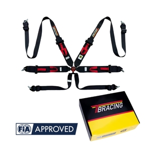 Ceinture de sécurité de course OEM 6 points FIA 8853-2016 SFI 16.1 avec logo personnalisé couleur TBRACING SPORT-S Vente en gros 16 couleurs standard disponibles - Product Image 1