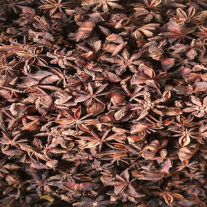 Anís estrellado indio de alta calidad, especias enteras para procesamiento de alimentos, suministro para restaurantes, envasado minorista y mercados internacionales - Product Image 6