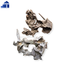 ไม้ธรรมชาติสำหรับพิพิธภัณฑ์สัตว์น้ำจากเวียดนาม - Product Image 6