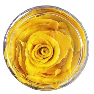 Authentique snack à la mangue du Vietnam premium avec teinte dorée, arôme tropical et saveur naturellement sucrée - Product Image 3