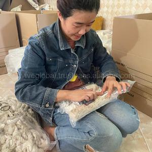 Poste rascador para gatos con forma de estrella de mar, respetuoso con el medio ambiente, inspira la diversión y protege los muebles, juguetes para mascotas, fabricante de Vietnam - Product Image 6
