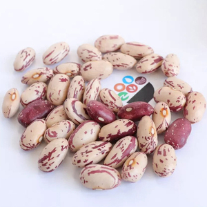 Bulk White Speckled Kidney <b>Bean</b> for food High Quality Light Speckled Kidney <b>Beans</b> /Pinto <b>Beans</b>/Sugar <b>Beans</b> - Product Image 5
