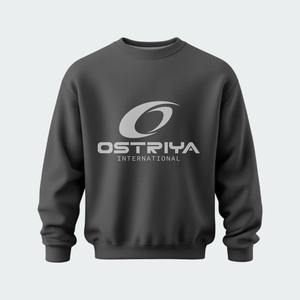 Sudadera Personalizada para Hombre, 100% Algodón, Cuello Redondo, Talla Grande, Lisa, sin Estampado, Fabricada en Felpa - Product Image 5