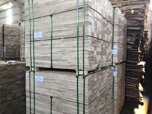 Mejor Precio en Madera Contrachapada LVL de Primera Calidad Fomex Greenwood (Acacia y Eucalipto) para Palés de Almacén y Construcción - Product Image 6