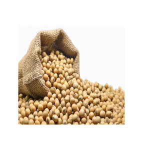 Bolsa de 50 kg de Semillas de Soja Amarilla Seca de Grado Alimenticio y para Germinación, Semillas de Soja No Transgénicas - Product Image 3