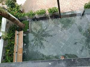 Pierre de Moissanite Vert Honed Écologique Premium du Vietnam pour Pavage Extérieur, Cour, Patio, Aménagement Paysager Thanh Thanh Tung HMG 2-5cm 5+ - Product Image 5