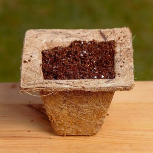 Macetas biodegradables de fibra de coco, naturales, respetuosas con el medio ambiente, cuadrado, bajo costo personalizado - Product Image 1