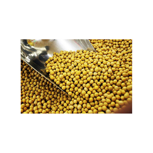 Les distributeurs proposent des graines de soja à vendre à bas prix pour l'extraction d'huile et les industries agroalimentaires. - Product Image 1