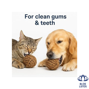 Balle en fibre de coco de haute qualité pour animaux de compagnie, jouet à mâcher naturel et écologique pour chien, sûr pour les animaux, soulagement des dents, OEM - Product Image 1