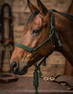 Cabestro de cuerda trenzada para caballo, verde, material PP, duradero, para entrenamiento ecuestre, modelo Rubh - Product Image 1