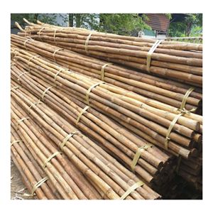 Noyau de rotin naturel du Vietnam pour la fabrication de meubles artisanaux et de paniers – Matériau en canne ronde durable et flexible – Approvisionnement en vrac - Product Image 4