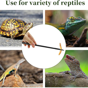 Pince à nourrir les serpents en gros OEM ODM, pince d'aquarium en acier inoxydable certifiée CE Classe I, pince longue - Product Image 3